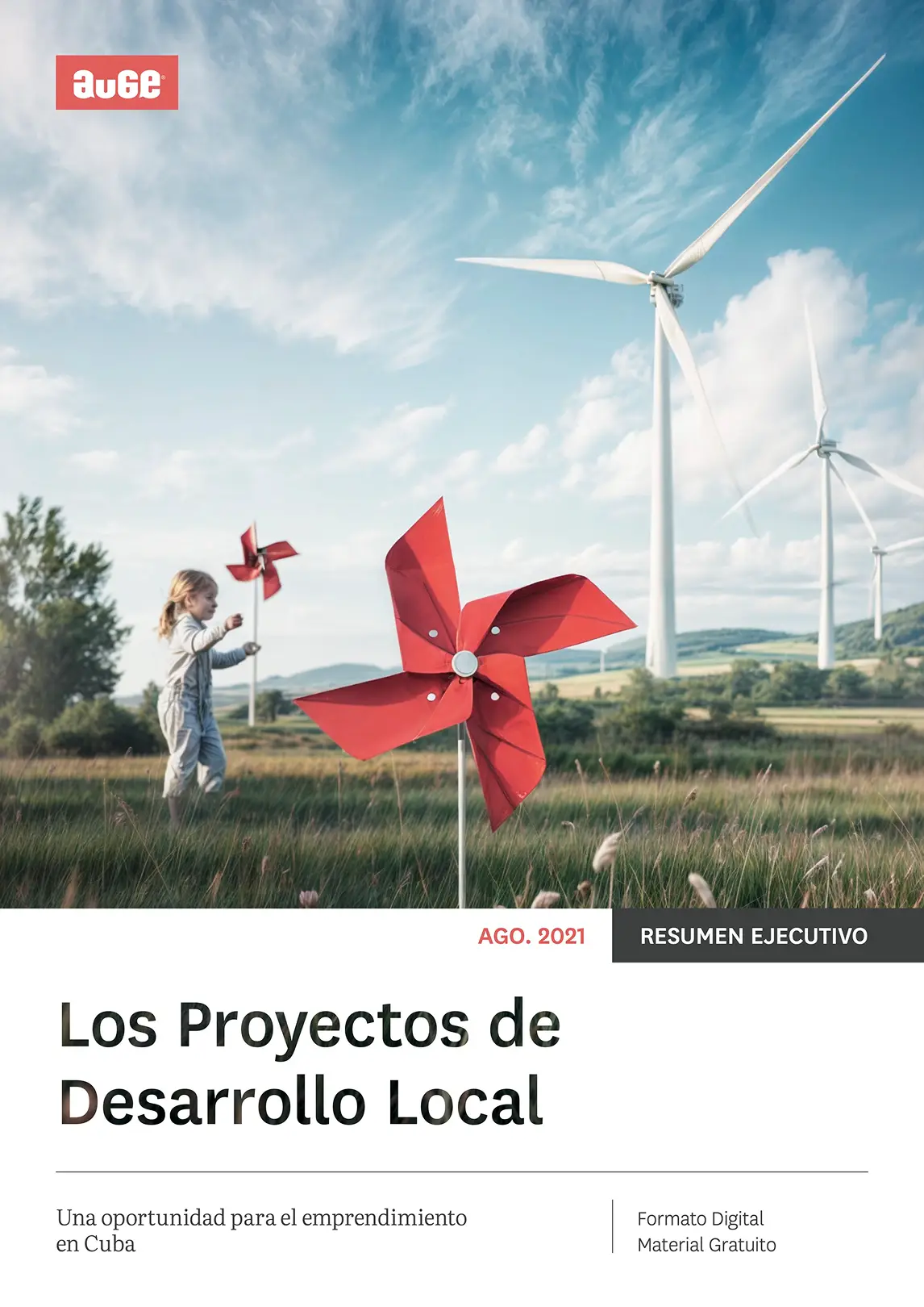 Los Proyectos de Desarrollo Local