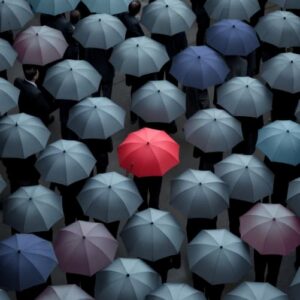 Estudio Clima Empresarial 2025